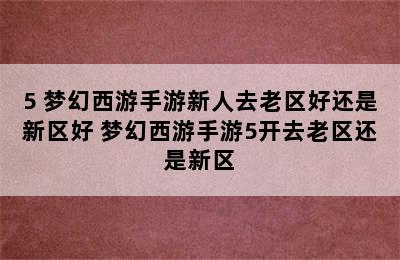 5 梦幻西游手游新人去老区好还是新区好 梦幻西游手游5开去老区还是新区